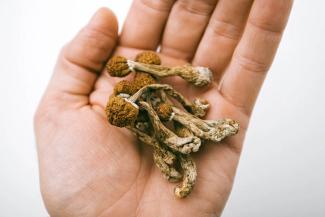 Colorado voters legalize psilocybin and psychedelic therapy - The Denver Post