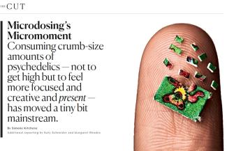 Microdosing’s Micromoment - theCult