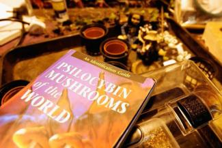 Severe depression eased by single dose of synthetic 'magic mushroom' - CNN