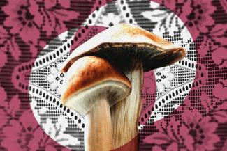 The Cult - Tripping Down the Aisle