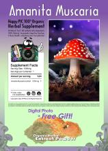 Free Gift with Purchase of Amanita Muscaria Fairy Photo